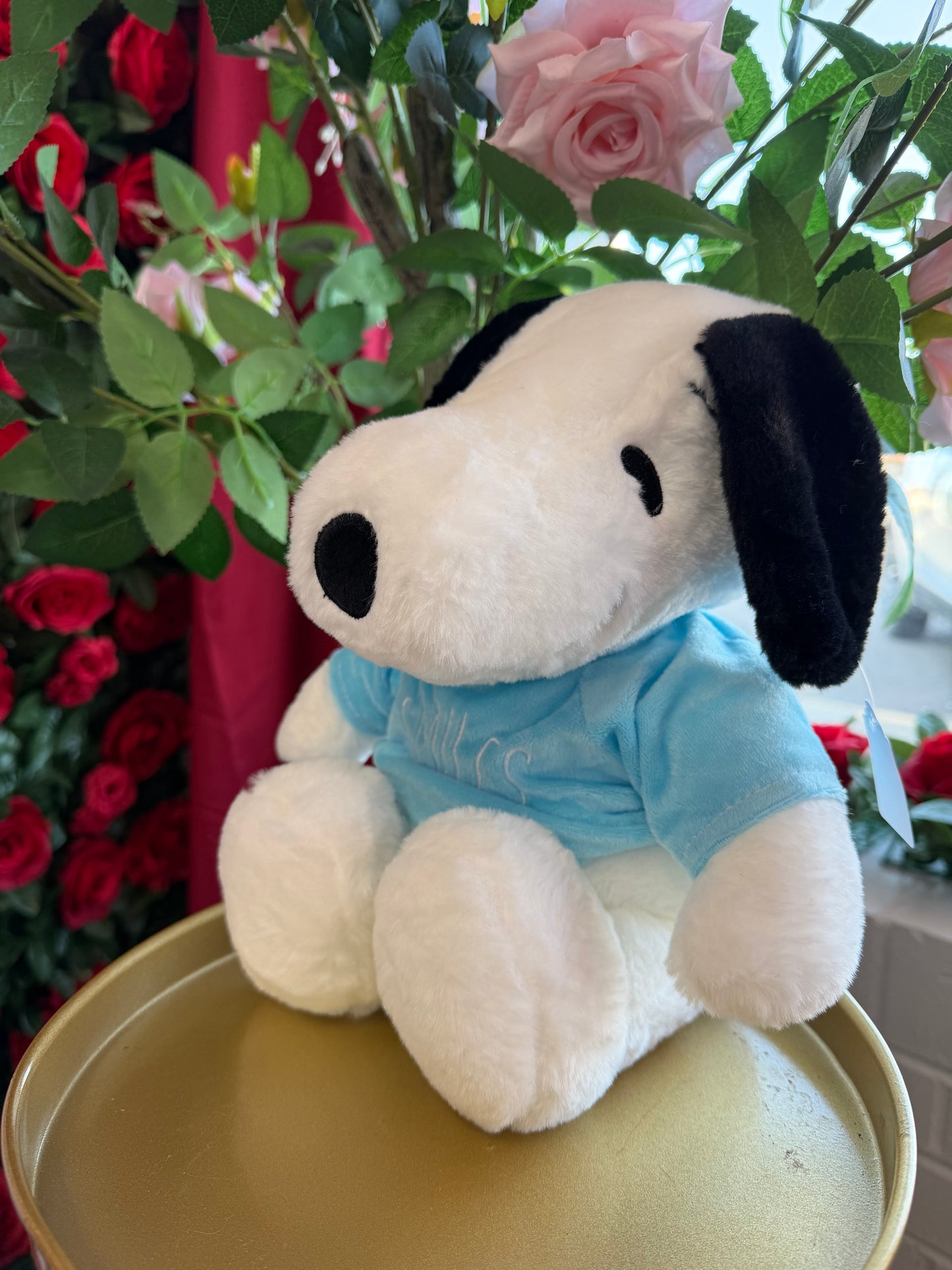Peluche snoopy de 30cm